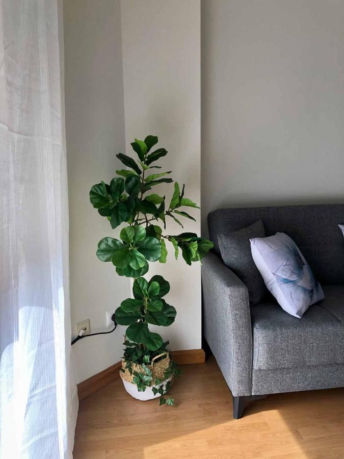 Apartamentos Schultz Gijón Eksteriør billede